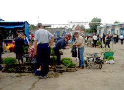 хоздвор